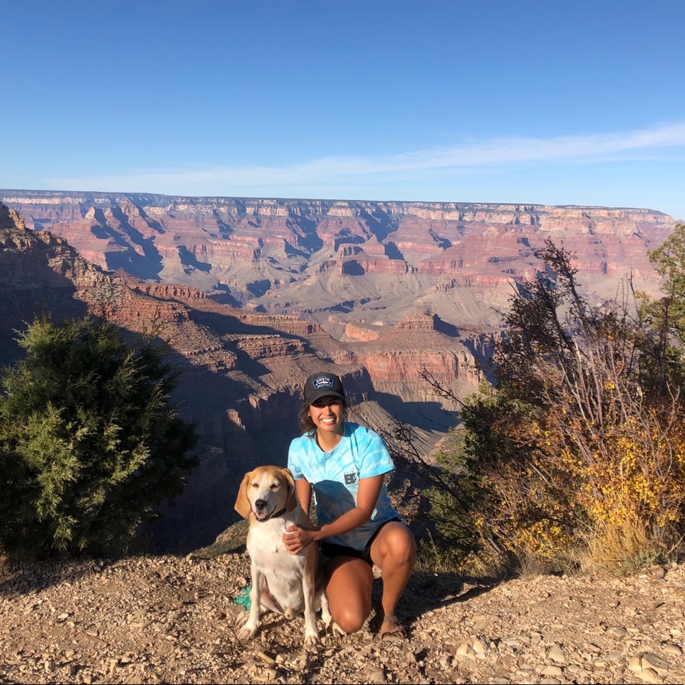 Meet your Posher, Si